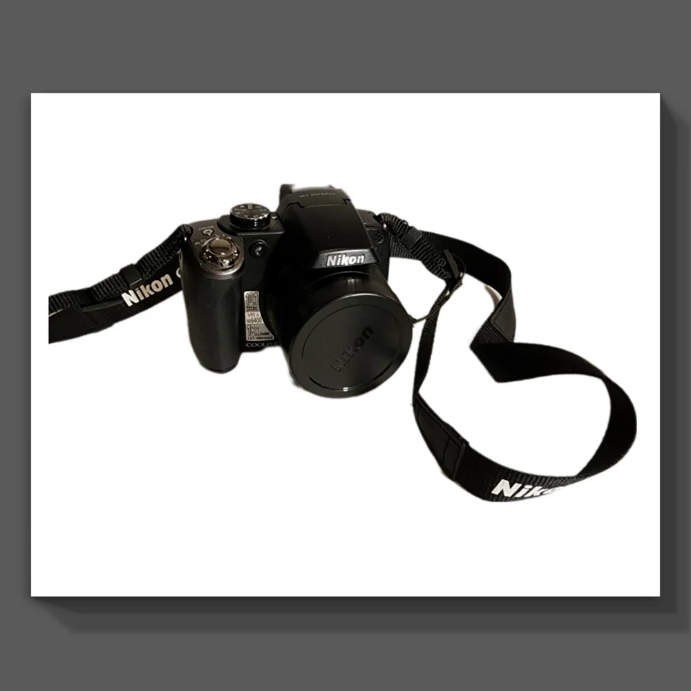 Nikon Coolpix P80 Camera